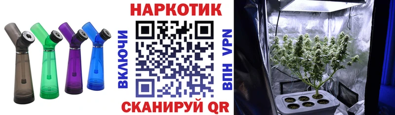 Сколько стоит Назрань АМФ Cocaine Галлюциногенные грибы Меф Кетамин ГАШИШ Канабис