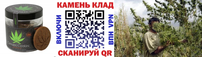 Canna-Cookies марихуана  Назрань 