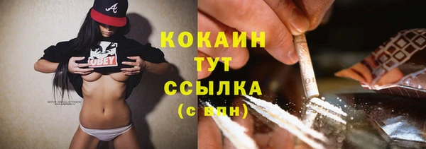 мет Елизово