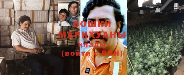 мет Елизово